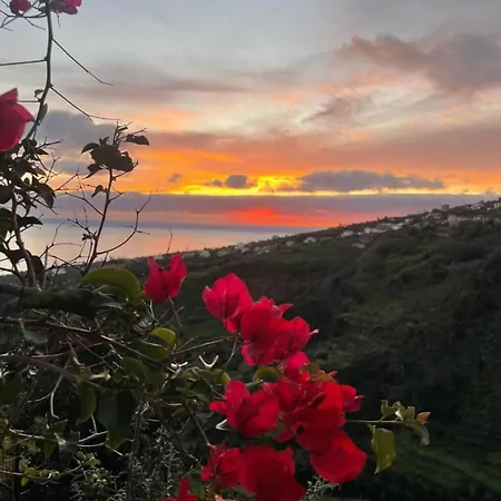 Appartement Vinha - Adults-only Privé Met Hottub&zeezicht Calheta (Madeira)